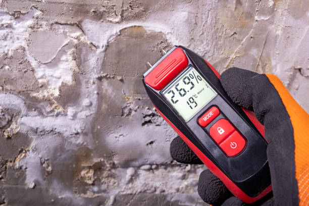 Best Commercial Mold Remediation in Richmond West, FL